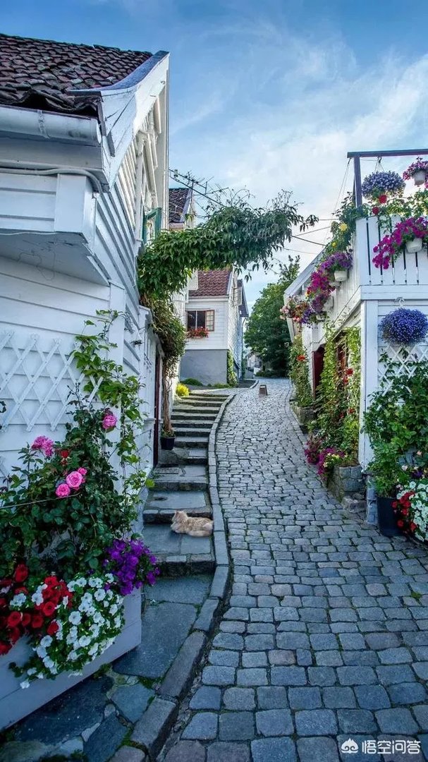 李晨发微博求救，你怎么看？