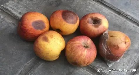 女子淘宝账号被封980年，气愤之下去阿里讨说法，咋回事？