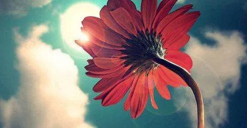 为什么沈阳八一公园里有很多飞机大炮?