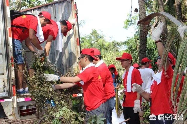 团中央三年内组织1000万人次青年志愿者下乡，你认为这将对农村有何深远影响？