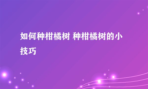 如何种柑橘树 种柑橘树的小技巧