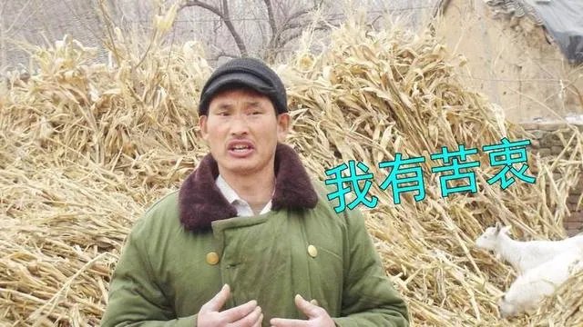 你们对山东的朱之文怎么看?
