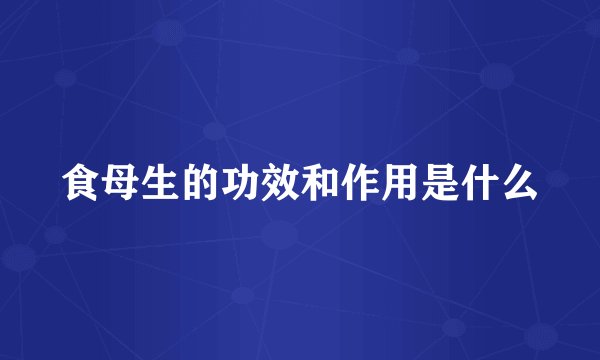 食母生的功效和作用是什么