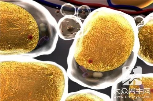  孕妇怎样补充dha