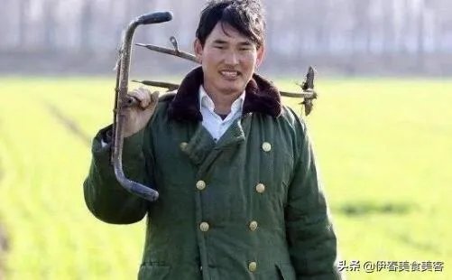 你们对山东的朱之文怎么看?