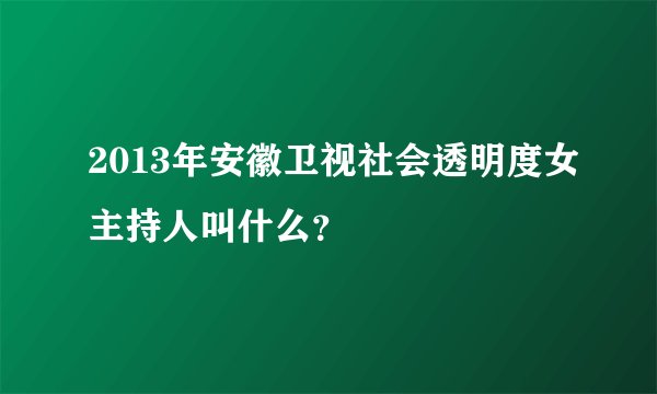 2013年安徽卫视社会透明度女主持人叫什么？