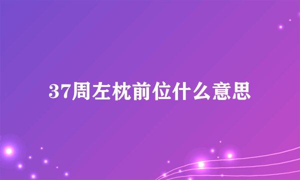 37周左枕前位什么意思