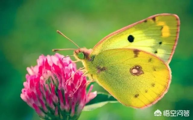 你有哪些喜欢的句子想要分享吗?