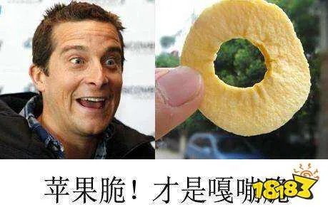 嘎嘣脆鸡肉味是什么意思