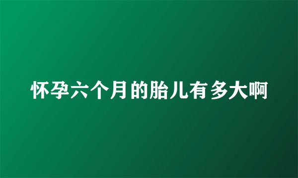 怀孕六个月的胎儿有多大啊