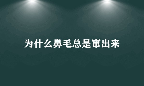 为什么鼻毛总是窜出来