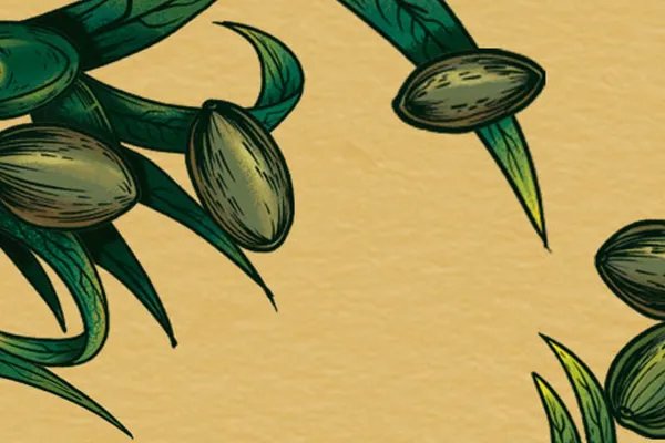 嚼槟榔脸变大怎么恢复正常