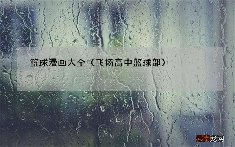 飞扬高中篮球部 篮球漫画大全