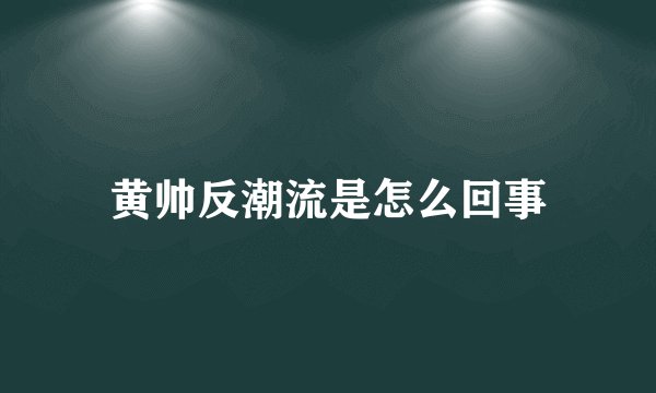 黄帅反潮流是怎么回事