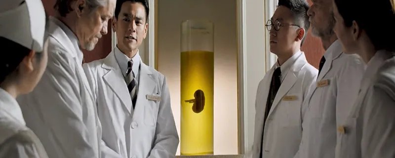 邪不压正剧情解析