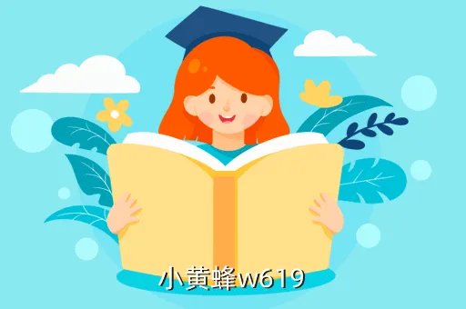 小黄蜂w619,小黄蜂w619怎么样