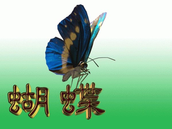 上海Costco从开业限流排队，而现在又排队退卡，十一假期还会排长队吗？