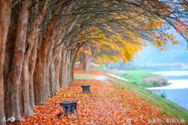 大米收购案9月27日宣判,泰国法院判决英拉无罪的可能性有多大?