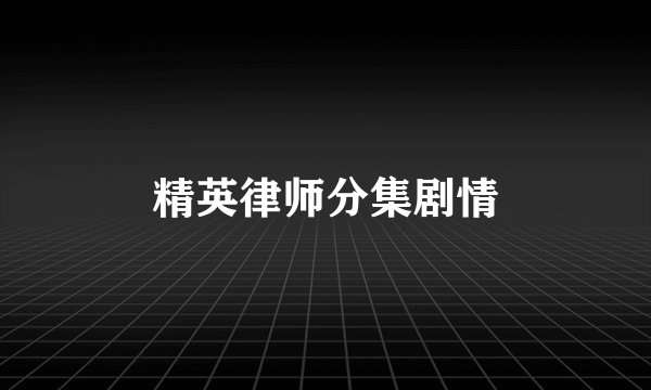 精英律师分集剧情