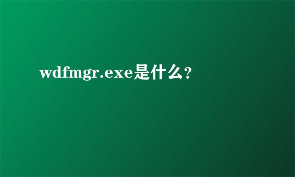 wdfmgr.exe是什么？