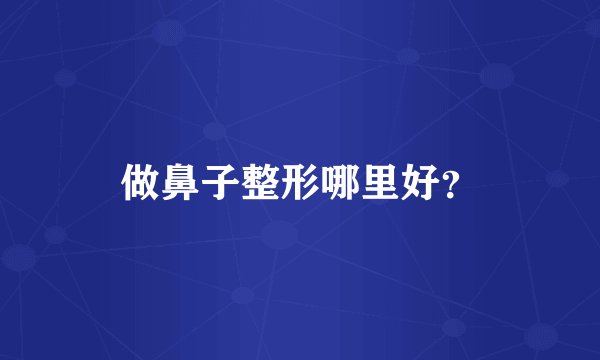 做鼻子整形哪里好？