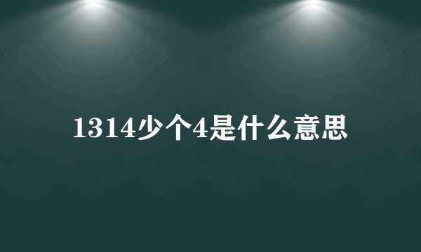 1314少个4是什么意思