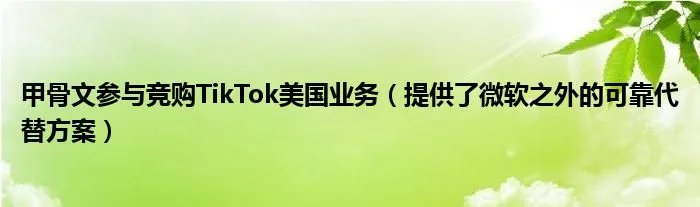 甲骨文参与竞购TikTok美国业务(提供了微软之外的可靠代替方案)