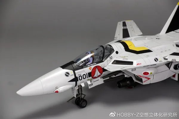 万代 DX超合金TV版VF-1S罗伊·福卡特别型