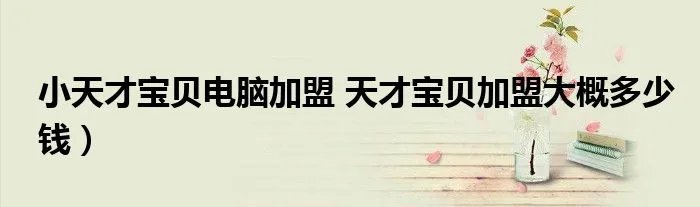 小天才宝贝电脑加盟 天才宝贝加盟大概多少钱）