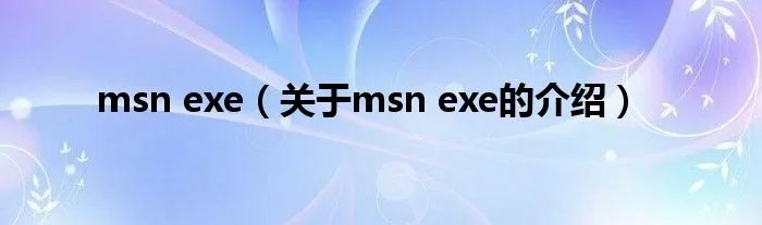 msn exe(关于msn exe的介绍)
