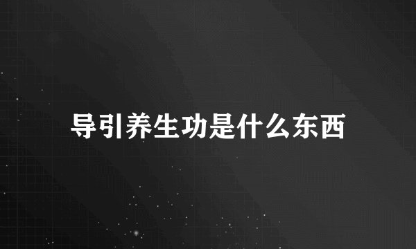 导引养生功是什么东西