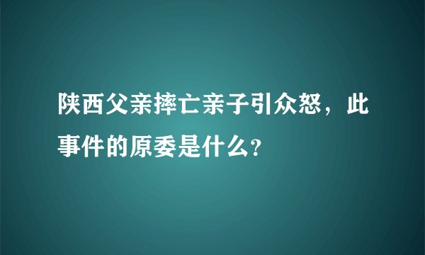 陕西父亲摔亡亲子引众怒，此事件的原委是什么？