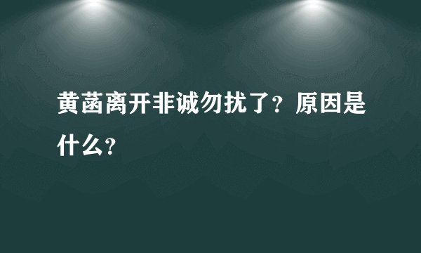 黄菡离开非诚勿扰了？原因是什么？