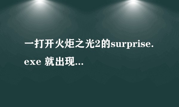一打开火炬之光2的surprise.exe 就出现了这个 求救啊！！！