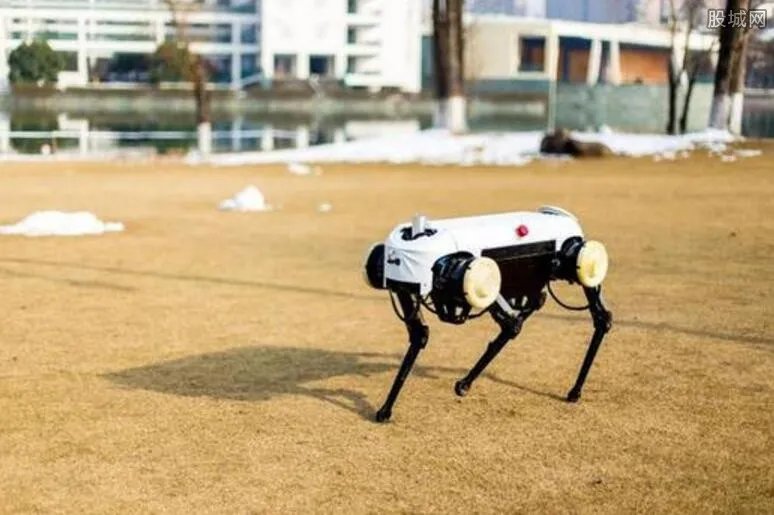浙大发四足机器人 四足机器人有什么功能