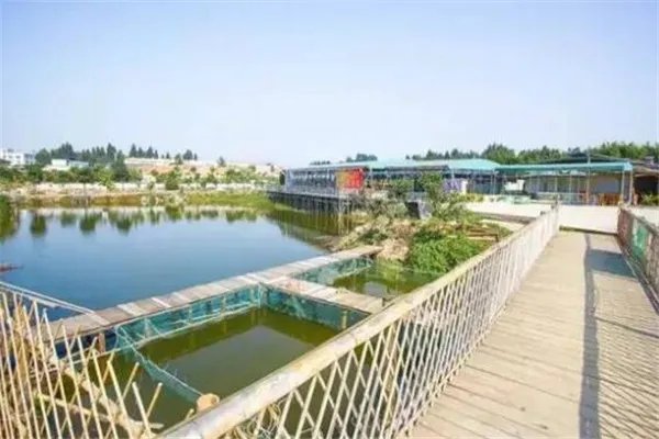 番禺十大农家乐 高二牛农庄河鲜美食超棒，第五必去