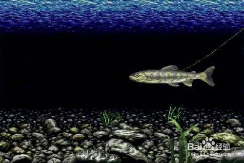 超级任天堂SFC钓鱼太郎2完整版图文攻略