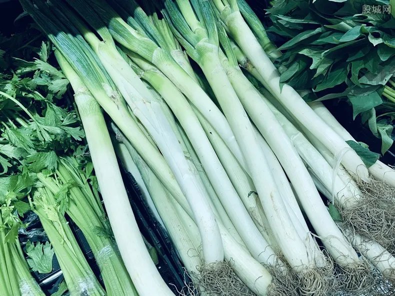 大葱价格短短几天翻几倍 当前多少钱一斤