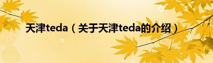 天津teda（关于天津teda的介绍）