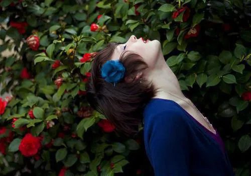 抖音虐文191002小说 白玖月沈燿全文未删减版阅读