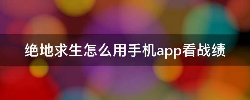 绝地求生怎么用手机app看战绩