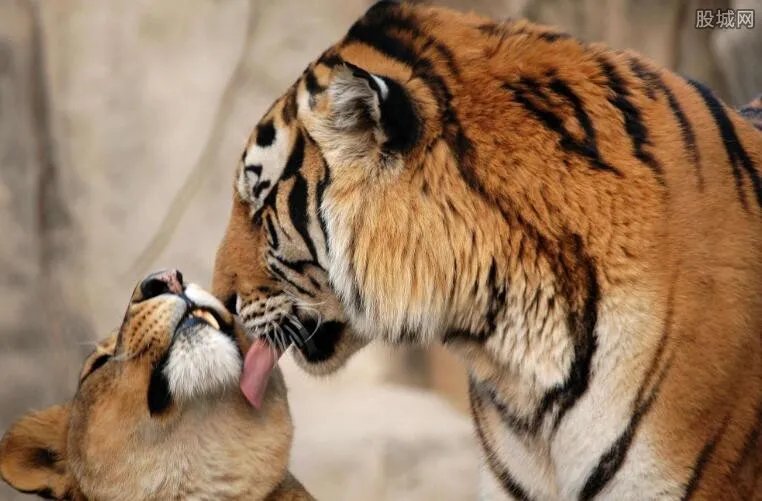 郑州动物园门票多少钱 带小孩子进去要钱吗？