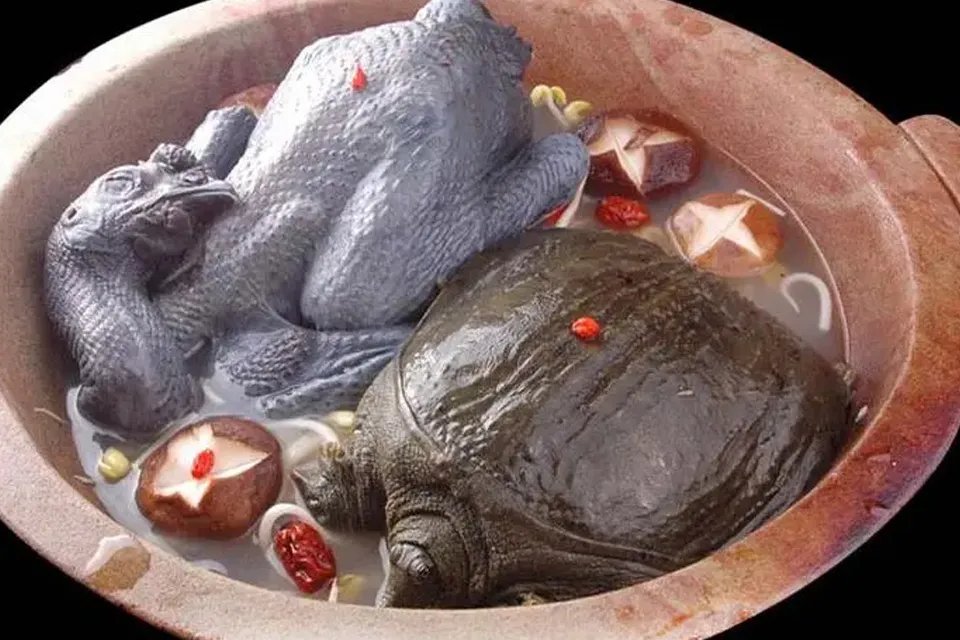 霸王别姬是什么菜 霸王别姬是什么菜系的代表菜