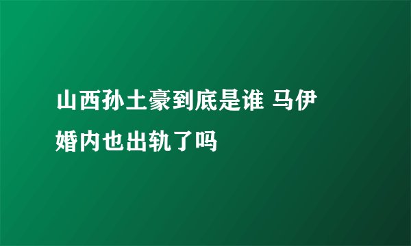 山西孙土豪到底是谁 马伊琍婚内也出轨了吗