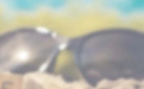 《繁花似锦的夏季来临》阅读题