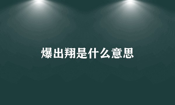 爆出翔是什么意思