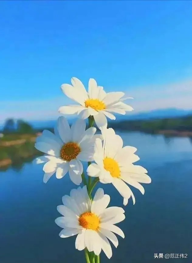 上海Costco从开业限流排队，而现在又排队退卡，十一假期还会排长队吗？