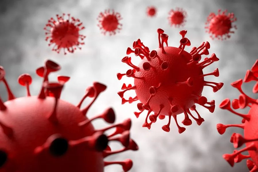 怎样介绍新冠病毒