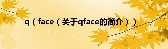 q（face（关于qface的简介））