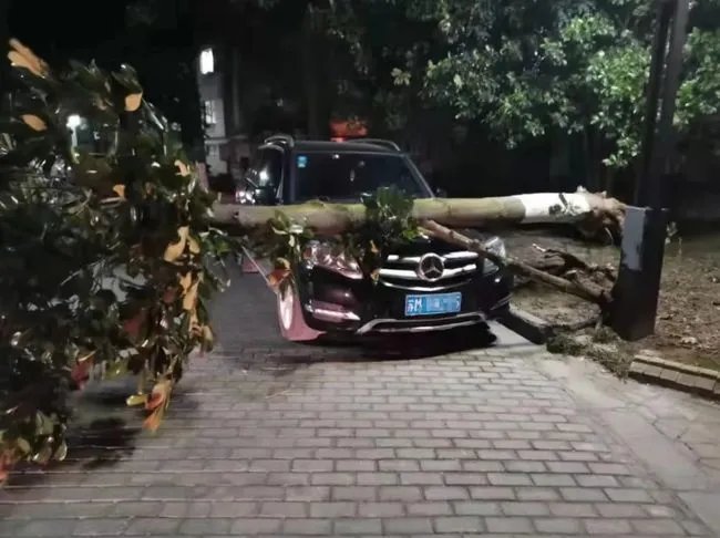 江苏南通大风致11死102伤,这次的极端天气可能是什么原因导致的?